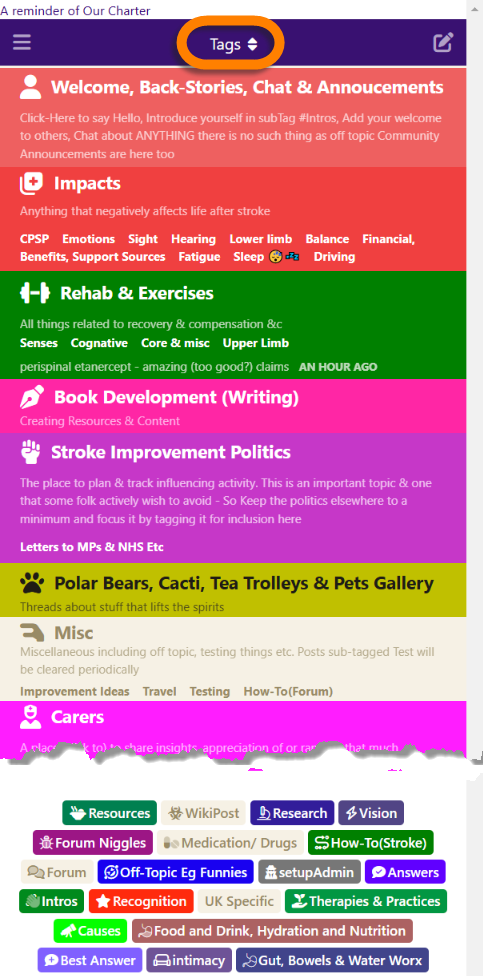 Top Level: Narrow-Screen Tags (Subset) - Menu Selection Button Circled